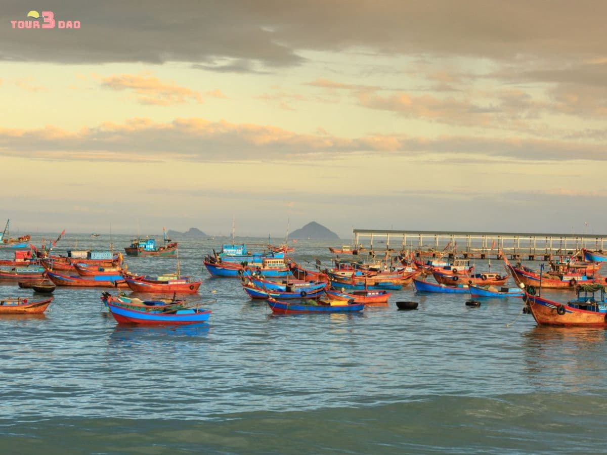 Bãi Tranh Nha Trang