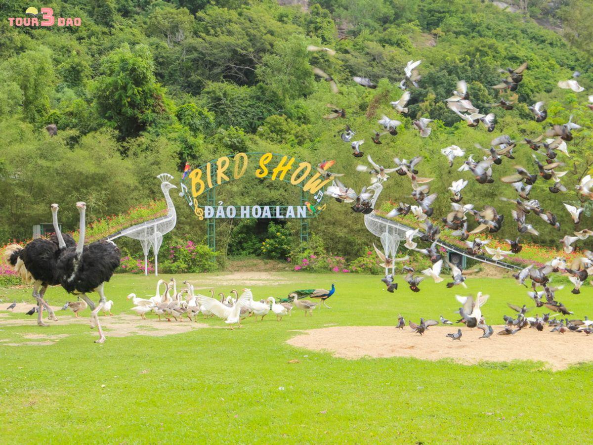 đảo hoa lan nha trang