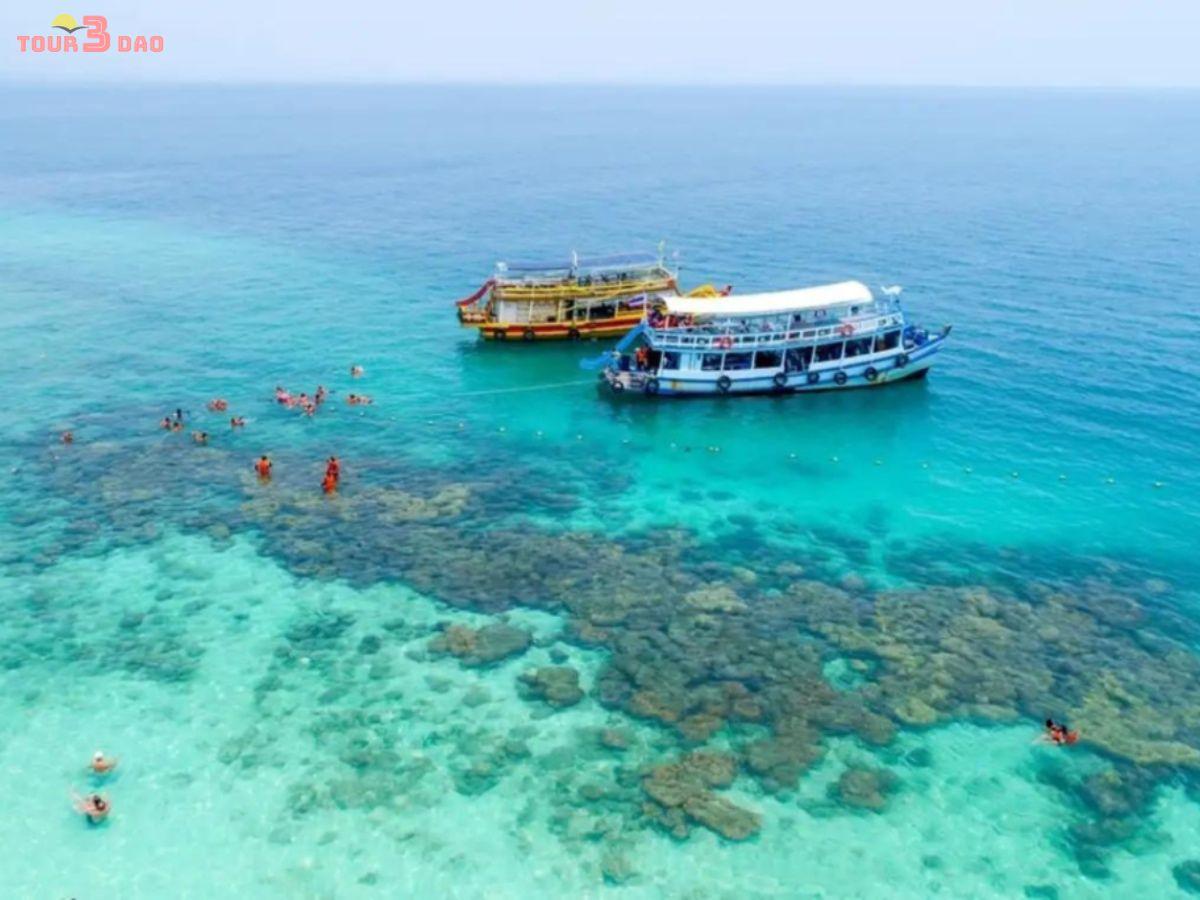 đảo hòn mun nha trang