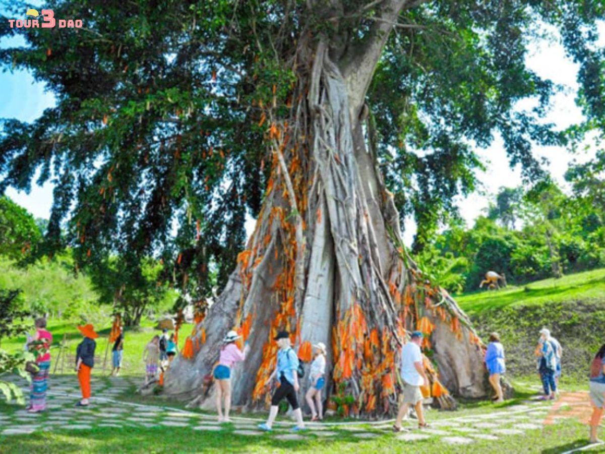 địa điểm du lịch nha trang
