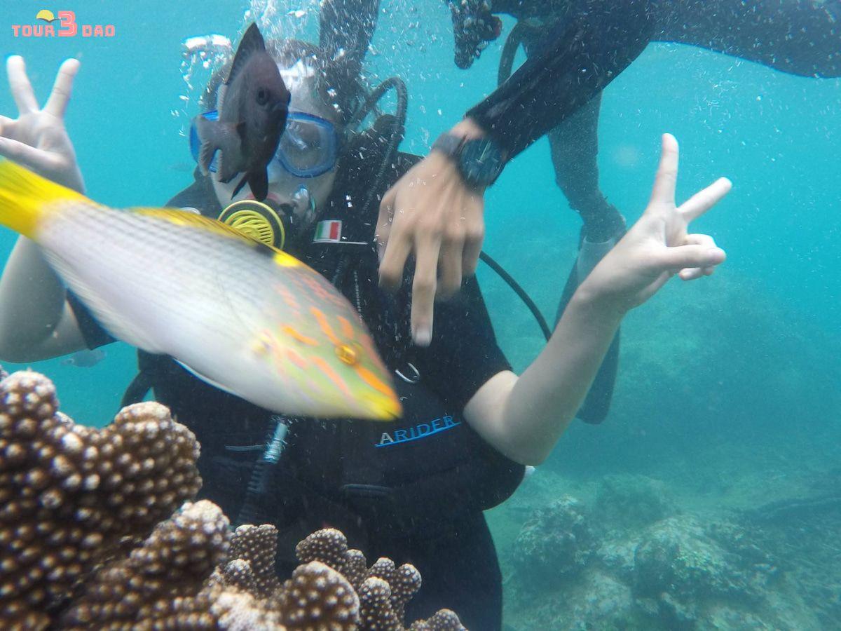 kinh nghiệm du lịch 3 đảo nha trang