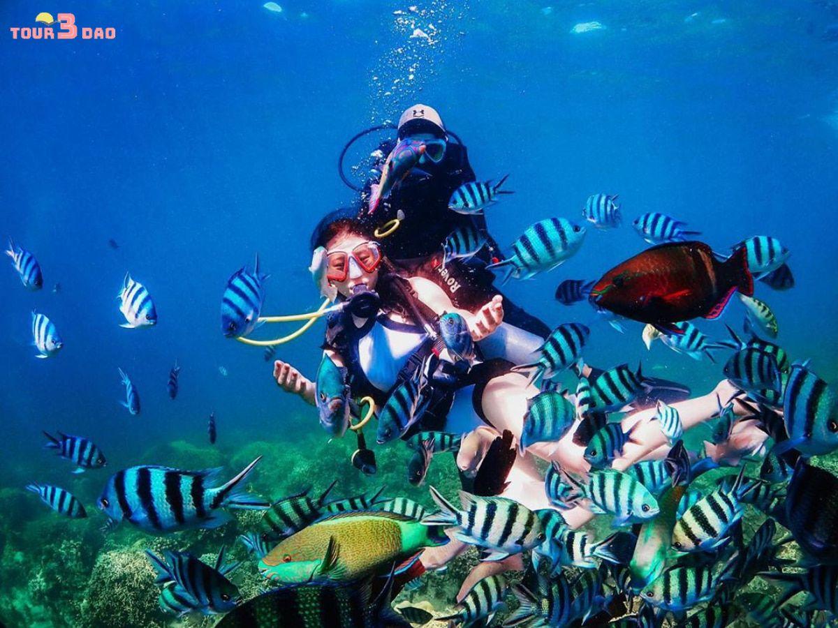 tour 3 đảo deluxe nha trang