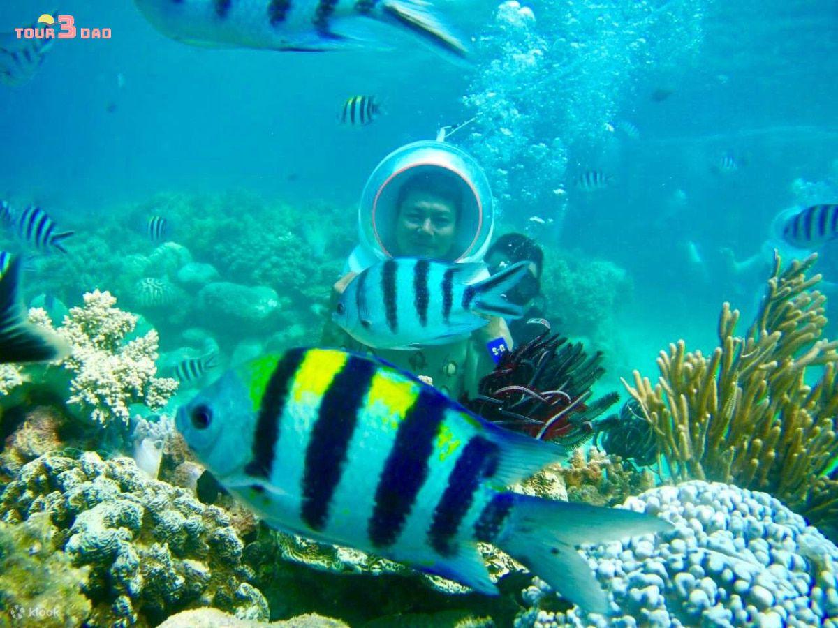 tour 3 đảo vip hòn tằm nha trang