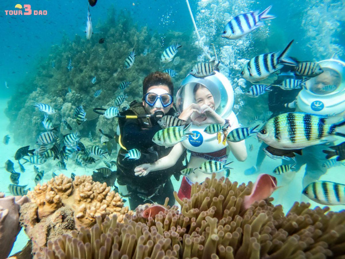 tour đi bộ dưới biển nha trang