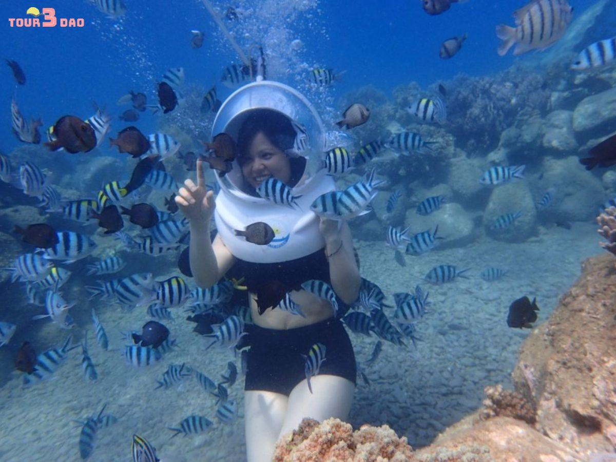 tour đi bộ dưới biển nha trang