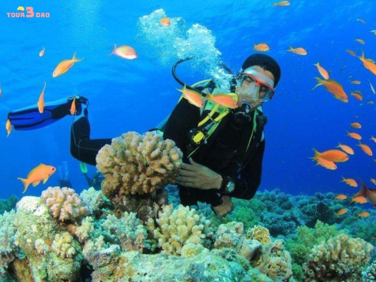 tour gành nhảy ninh vân