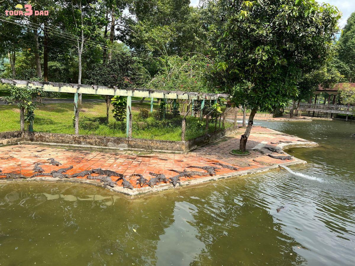 tour thác yang bay nha trang