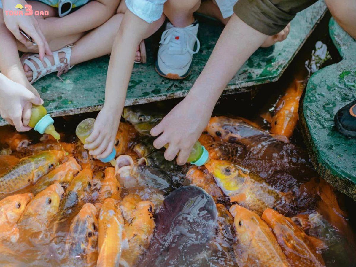 tour thác yang bay nha trang