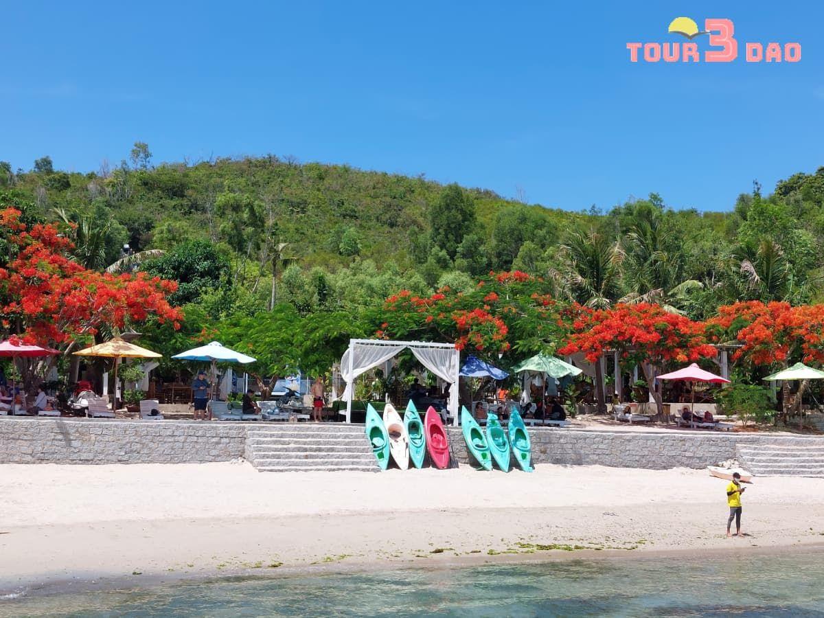 vịnh san hô nha trangg