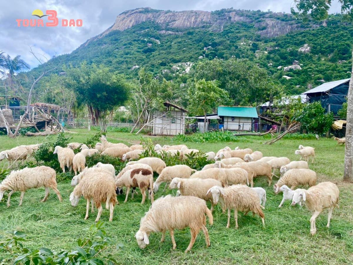 tour-hang-rai-vinh-hy